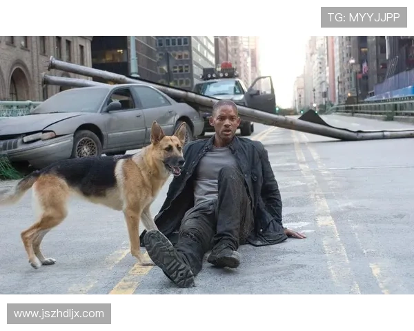 三个光头佬:不止于光,更是传奇 三个光头佬:不止于光,更是传奇