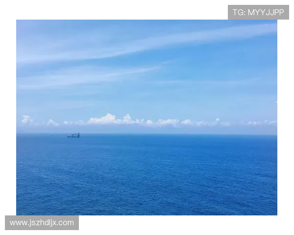 小八：不止是名字，更是生活的诗与远方