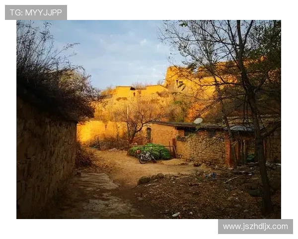 《望乡》：一部触及灵魂的日本电影，乡愁与人生百态的深刻描摹