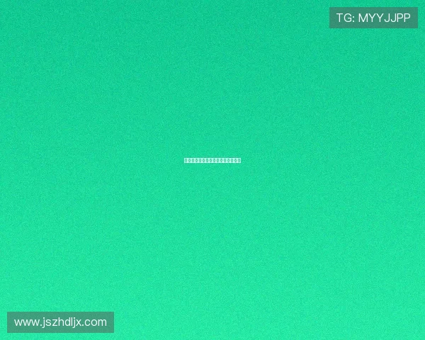 欢乐假期：点亮生活，拥抱美好时光